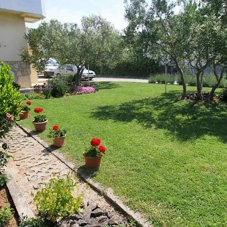 With Parking Space Sveti Filip I Jakov, Biograd - 19436 Apartment Sveti Filip i Jakov